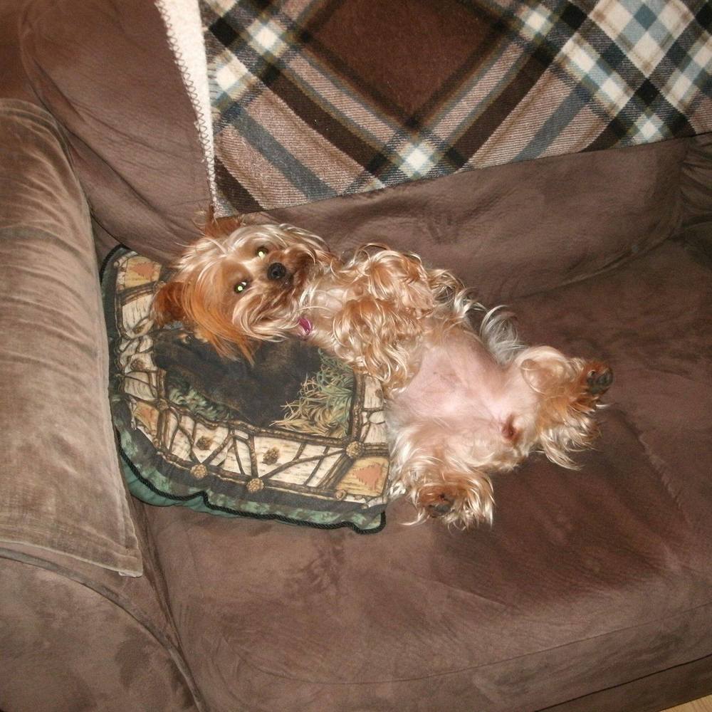 Meet your Posher, Melissa